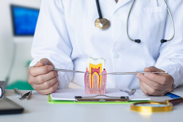 Best Orthodontic Emergency Dentist in Oak Hills, CA